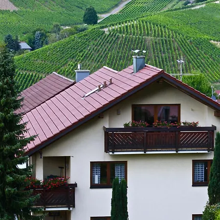Apartman Herzog *